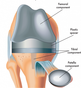 knee diploma course online