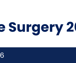 spine diploma course